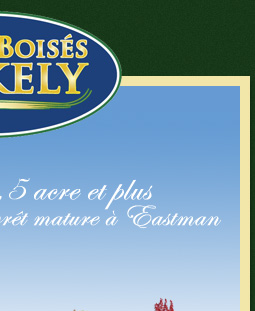 Terrains de 1,5 acres et plus en flanc de montagne � vendre � Eastman dans les Cantons de l'Est