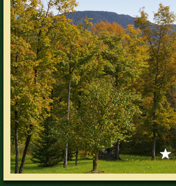 Terrains de 1,5 acres et plus en flanc de montagne � vendre � Eastman dans les Cantons de l'Est
