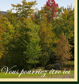 Terrains de 1,5 acres et plus en flanc de montagne � vendre � Eastman dans les Cantons de l'Est