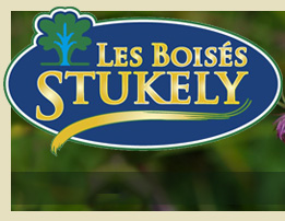 Terrains de 1,5 acres et plus en flanc de montagne � vendre � Eastman dans les Cantons de l'Est